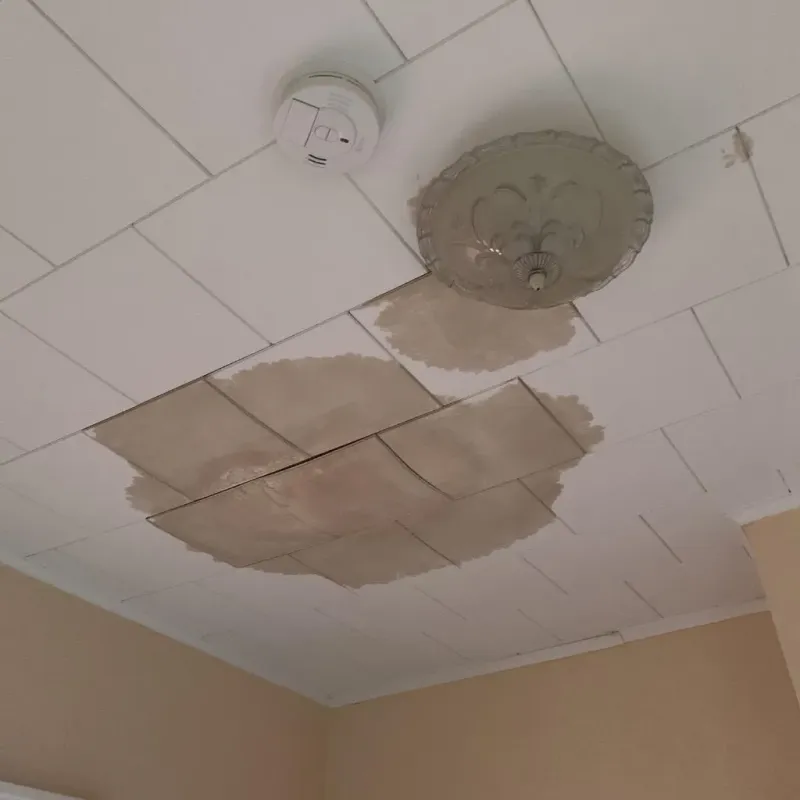 Ceiling Water Damage Repair in Waterbury, CT