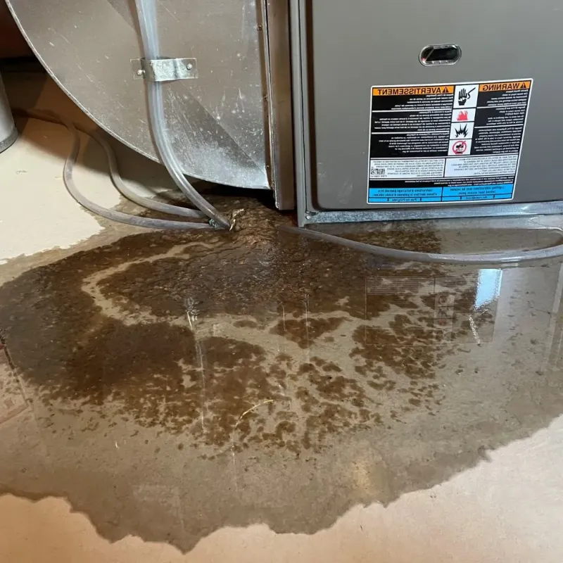 Pipe Burst and Leak Restoration in Waterbury, CT