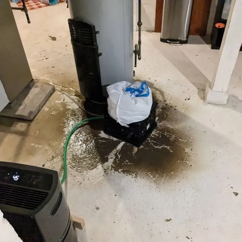Sewage Backup Cleanup Service in Waterbury, CT